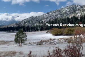 Forest Service Angels